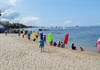 Phú Quốc: Không có chuyện xuất hiện loài mực cực độc