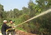 Một nửa rừng tràm U Minh Hạ đang ở mức báo động cháy cao nhất