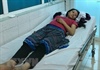 Lai Châu: Ăn nhầm nấm độc, cả gia đình phải nhập viện cấp cứu