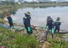 Đà Nẵng: Vì sao cá liên tục chết tại các sông hồ