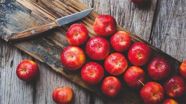 Mỗi quả táo chứa tới 100 triệu vi khuẩn có lợi đối với sức khỏe