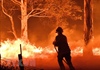 Australia: Lực lượng cứu hỏa làm việc cả đêm khống chế cháy rừng